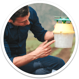 Controllo dei Terreni - Verdure Findus