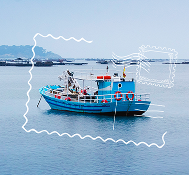 Da Dove Proviene il Nostro Pesce