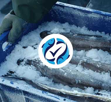 Logo FFG Pesca - Findus