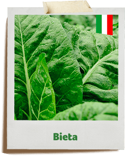 bieta