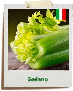 sedano