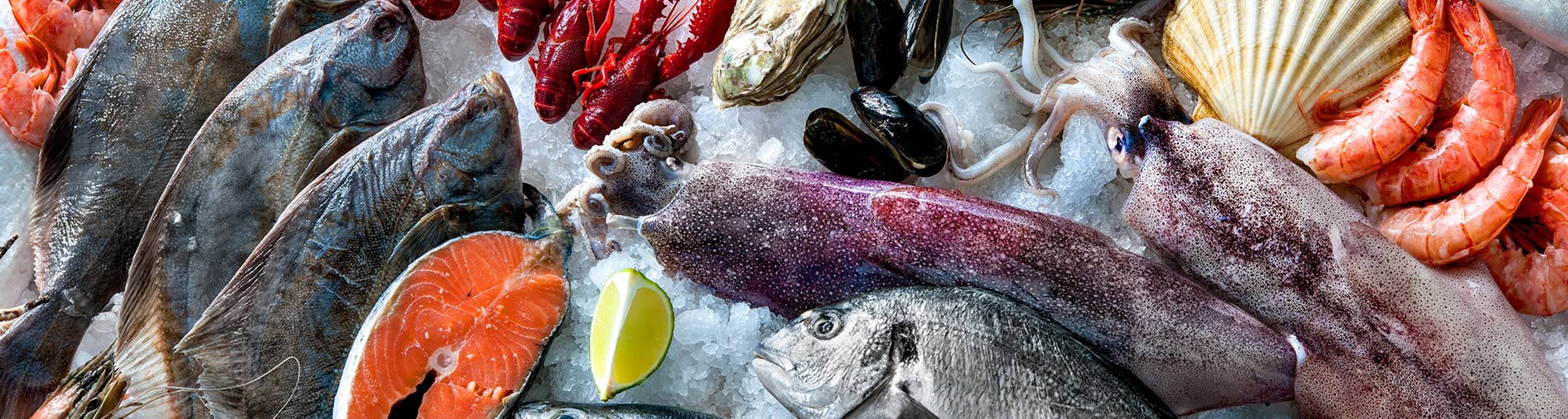Scopri che cos'è Omega 3, i suoi benefici.