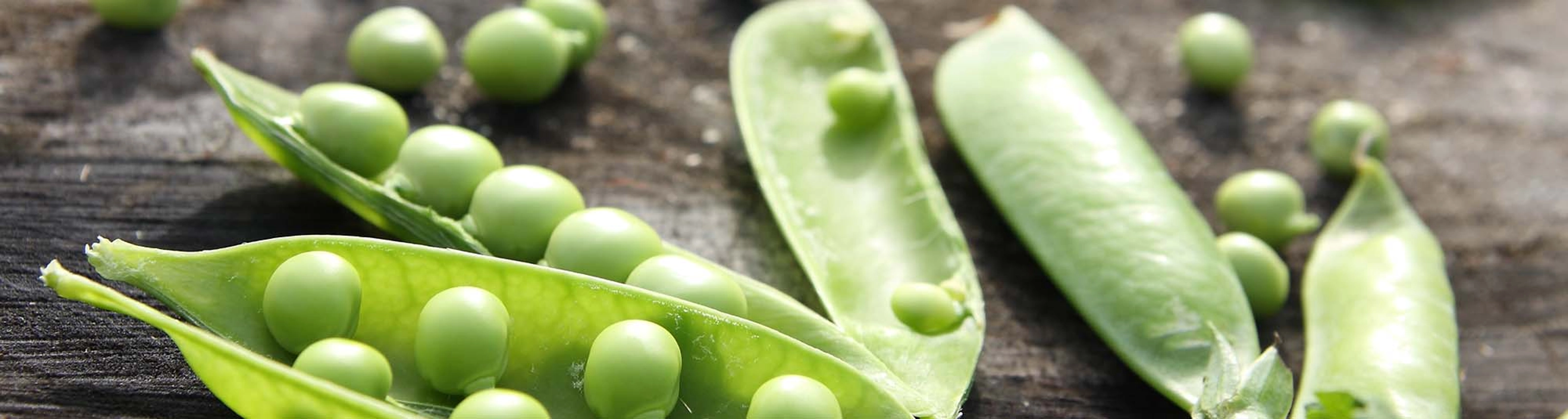 181022_Piselli e dieta_Header.jpg