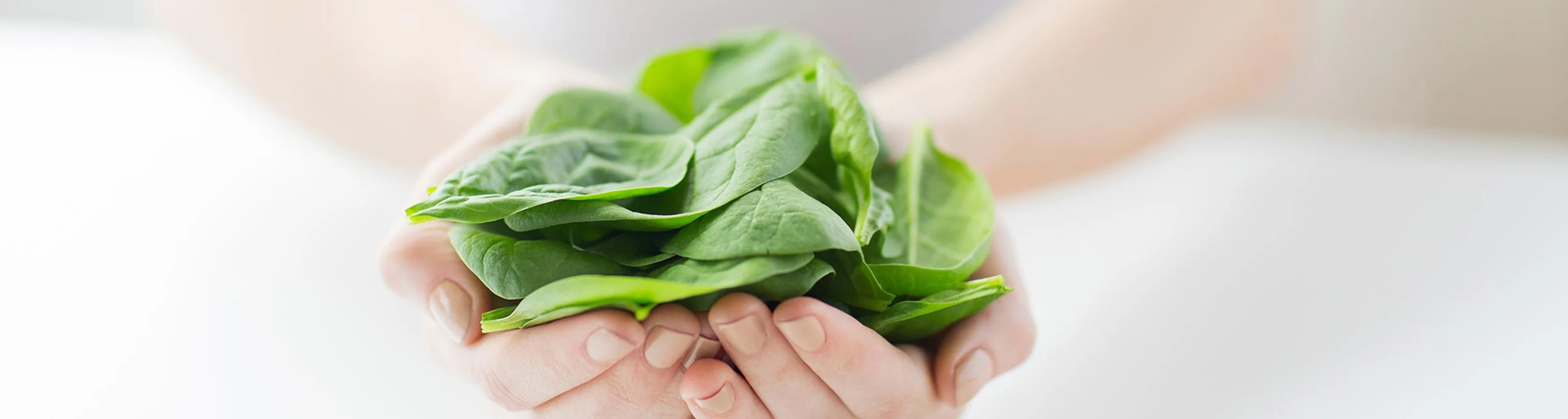 spinaci_fibre_header.jpg